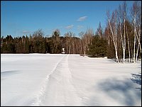 Winter_Road_26.jpg