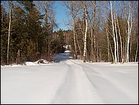 Winter_Road_37.jpg