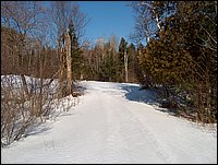 Winter_Road_53.jpg