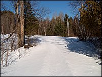 Winter_Road_54.jpg