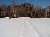 Winter_Road_58.jpg