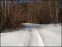 Winter_Road_62.jpg