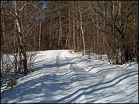 Winter_Road_64.jpg