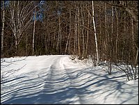 Winter_Road_65.jpg