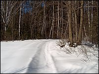 Winter_Road_66.jpg