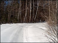 Winter_Road_67.jpg