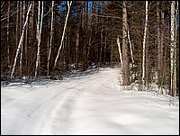 Winter_Road_68.jpg