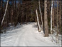 Winter_Road_69.jpg