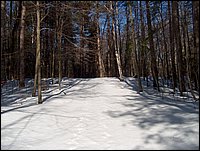 Winter_Road_72.jpg