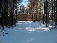 Winter_Road_84.jpg