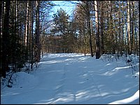 Winter_Road_85.jpg