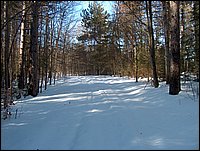 Winter_Road_86.jpg