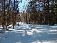 Winter_Road_90.jpg