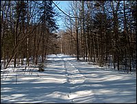 Winter_Road_91.jpg