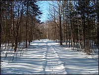 Winter_Road_92.jpg