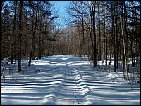 Winter_Road_93.jpg