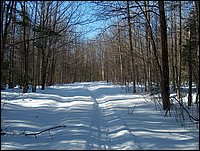 Winter_Road_94.jpg