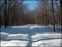 Winter_Road_95.jpg