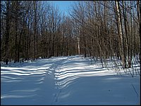 Winter_Road_96.jpg