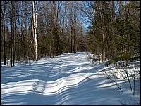 Winter_Road_99a.jpg