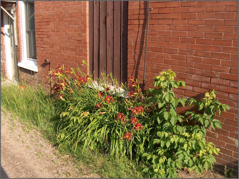 July 2006 15.jpg