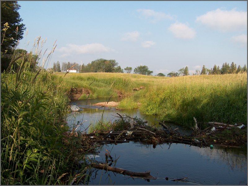 July 2006 38.jpg