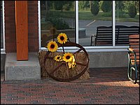 July 2006 04.jpg