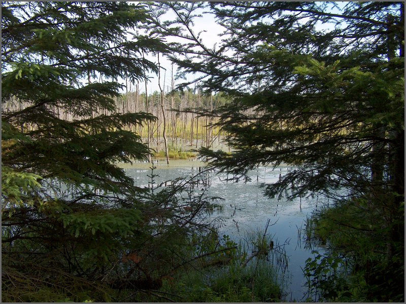 June 2006 56.JPG