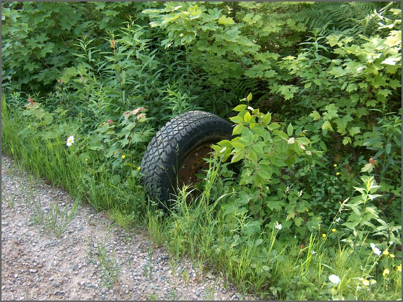 June 2006 64.JPG