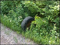June 2006 64.JPG