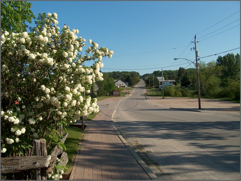 Powassan June 2006 71.JPG