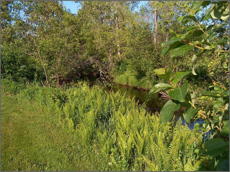 Powassan June 2006 78.JPG