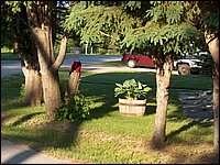 Powassan June 2006 06.JPG