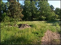 Powassan June 2006 13.JPG