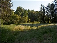 Powassan June 2006 14.JPG