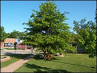 Powassan June 2006 62.JPG