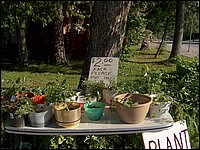 Powassan June 2006 67.JPG