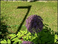 Powassan June 2006 69.JPG