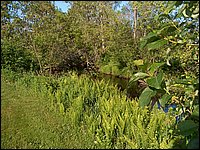 Powassan June 2006 78.JPG