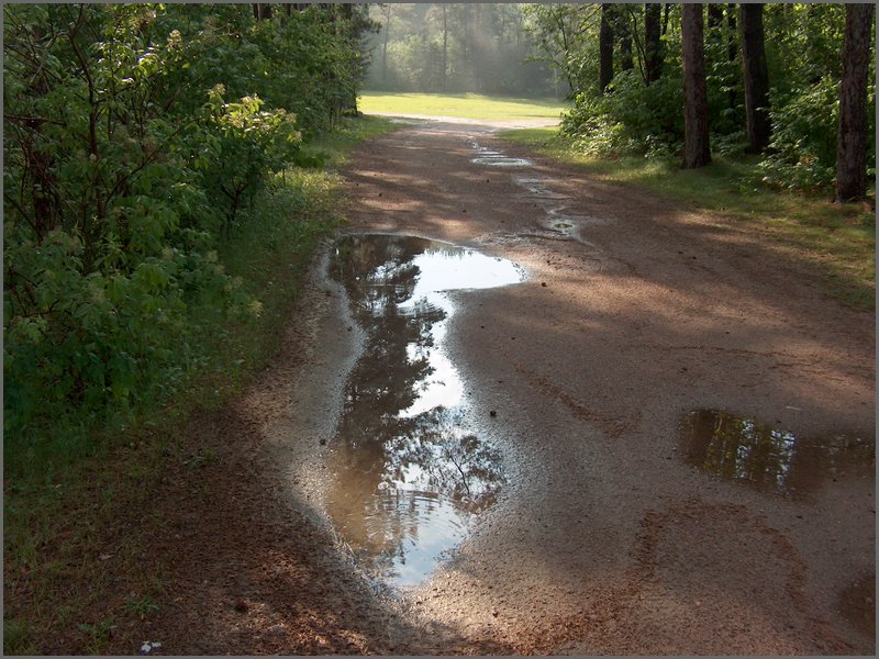 June Rain 2005  6.jpg