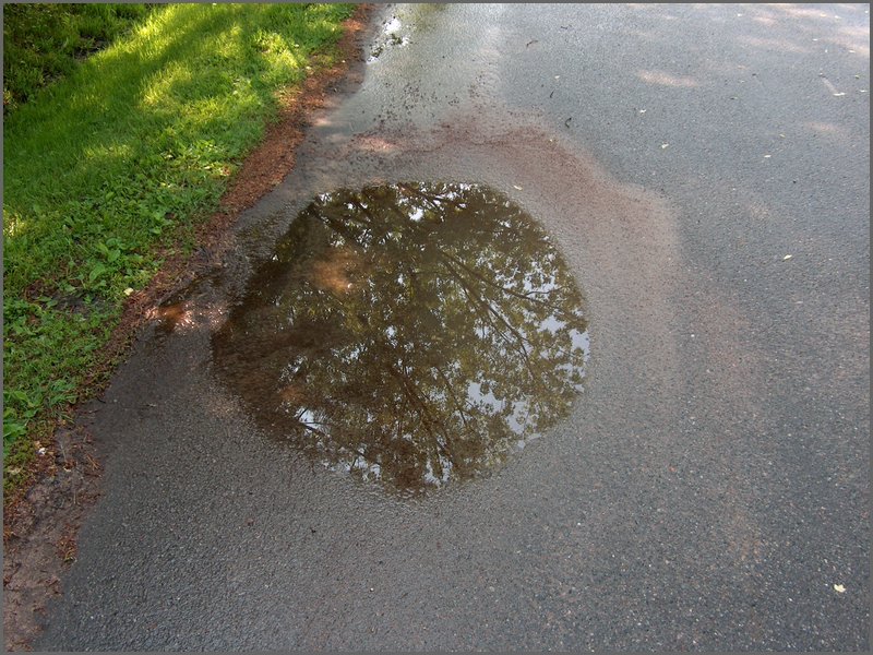 June Rain 2005 61.jpg
