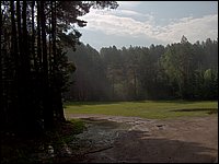 June Rain 2005  7.jpg