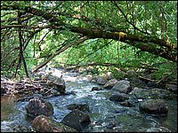 June Rain 2005 68.jpg