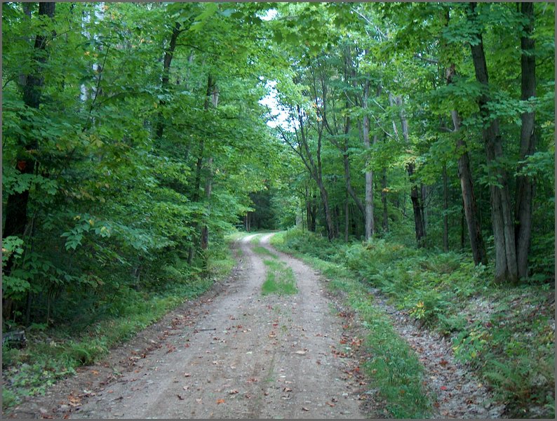 Lake Road 16.jpg.JPG