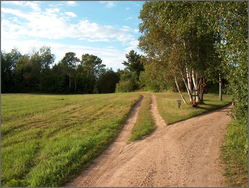 Road To The Farm.jpg