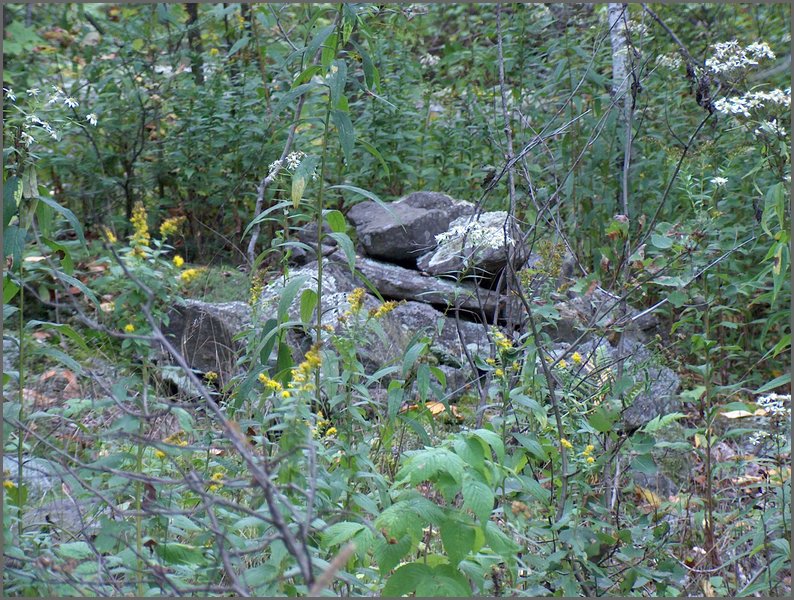 Stone Pile By Field.jpg.JPG