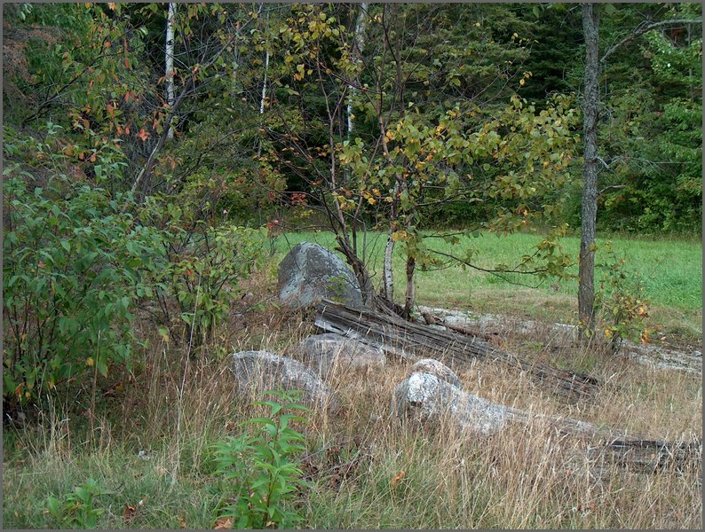 field By Asselstines1.jpg.JPG
