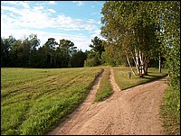 Road To The Farm.jpg