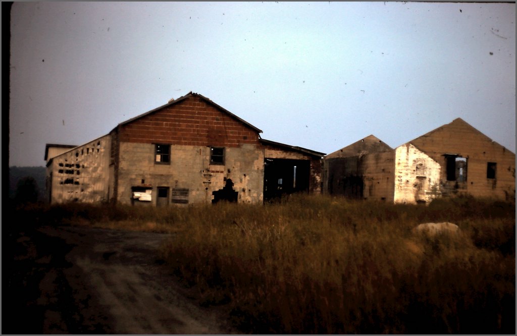 1975-01.JPG