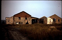 1975-01.JPG